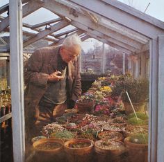 an old man is looking at plants in potted containers on the table inside a greenhouse