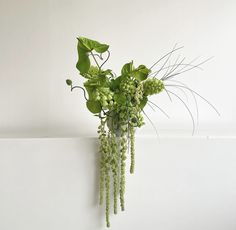 a vase filled with lots of green flowers on top of a white wall next to a plant