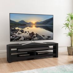 a flat screen tv sitting on top of a wooden stand in front of a plant