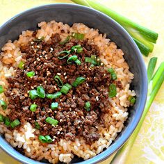 a bowl filled with rice, meat and green onions