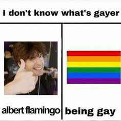 a man with headphones on next to an image of a rainbow flag and text that reads i don't know what's gayer albert flamingo being gay