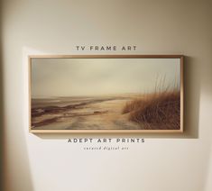 a tv frame hanging on the wall above an empty room with sand and grass in it