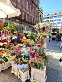 many different types of flowers are on display at an outdoor flower market in the city