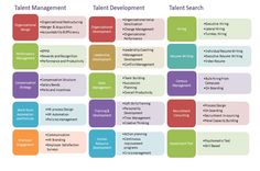 a chart with different types of talent management