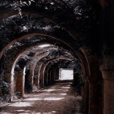 an old tunnel with ivy growing on the walls and walkway leading to another entrance that leads into it