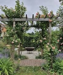 an outdoor garden with flowers and greenery