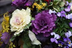 a bunch of flowers that are sitting on the ground