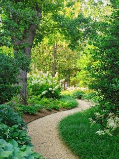 a garden path surrounded by lush green trees