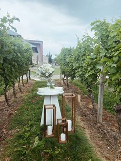 a table with flowers and candles in the middle of a vineyard field surrounded by trees