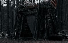 an old outhouse in the woods covered with branches