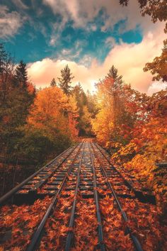 the train tracks are surrounded by trees with orange leaves on them and blue sky in the background