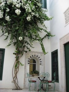 an outdoor table and chairs under a tree with white flowers on the top, in front of a building