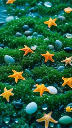 there are many starfishs on the rocks in the water and green mossy ground