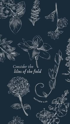 a bunch of flowers that are on a blue background with the words consider the lilies of the field