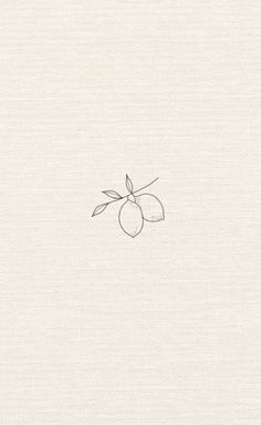 an apple drawn on top of a piece of white paper with a line drawing of the fruit