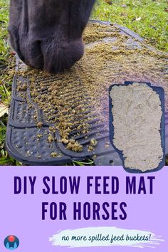 A close up of a horse eating from a DIY horse slow feeder mat. Horse is eating soaked hay and feed. Inset image shows horse feed on a feeding mat made from rubber. Text reads: DIY Slow Feed Mat for Horses. No more spilled feed buckets! Enriching Equines logo in lower left corner. Stall Boredom Toys Diy, Diy Horse Slow Feeder, Horse Boredom Busters Diy, Diy Horse Boredom Toys, Diy Horse Enrichment, Horse Paddock Enrichment, Enrichment For Horses, Stable Enrichment, Slow Feeders For Horses