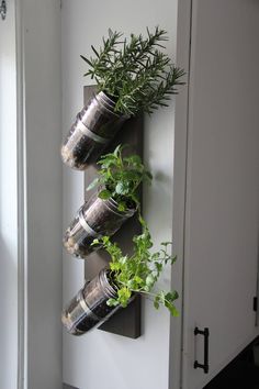 three planters are attached to the wall with plants growing in them and hanging from it