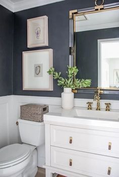 a white toilet sitting under a bathroom mirror next to a sink with a potted plant on top of it