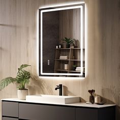 a bathroom with a sink, mirror and potted plant