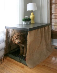 a dog is sitting in its cage on the floor next to a table with a lamp