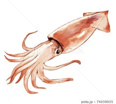 an octopus with a hat on its head is swimming in the ocean, watercolor drawing