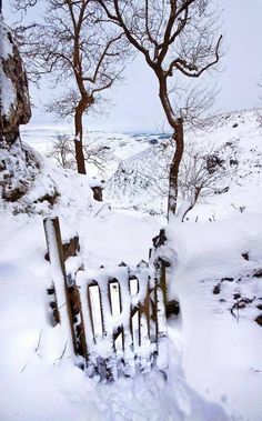 an open gate in the snow near some trees