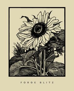 a black and white drawing of a sunflower