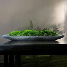 a bowl that has grass in it on top of a table next to a potted plant