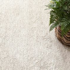 a potted plant sitting on top of a white rug next to a wooden basket