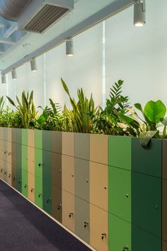 an office with plants in the wall and on the floor