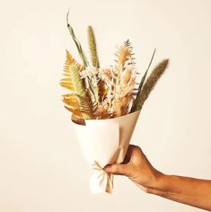 a hand holding a white vase filled with plants