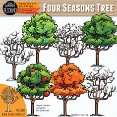 the four seasons tree is shown in this graphic art workbook, which shows different types of trees and how to draw them