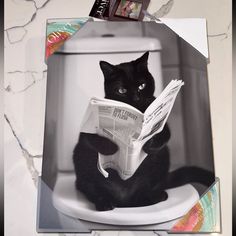 a black cat sitting on top of a toilet reading a newspaper