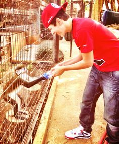 a man feeding a baby goat in a cage