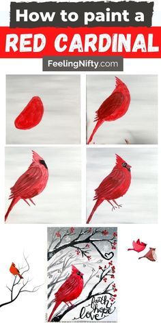 how to paint a red cardinal