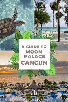 a guide to moon palace cancun in mexico with text overlaying the image