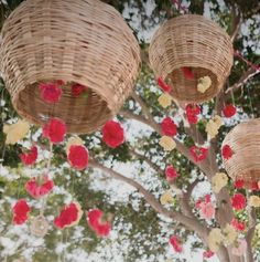 three wicker baskets hanging from a tree filled with flowers