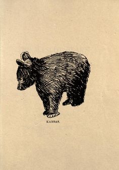 a black and white drawing of a bear