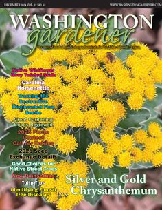 the front cover of washington garden magazine, featuring yellow flowers and green leaves on it