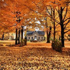 a house surrounded by trees in the fall