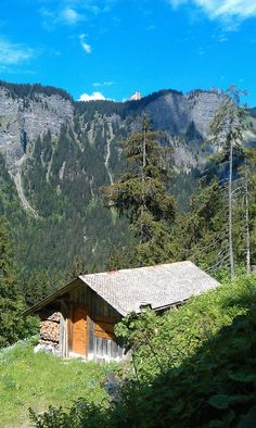 a small cabin in the mountains surrounded by trees