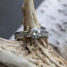 a diamond ring sitting on top of a piece of driftwood next to a rock