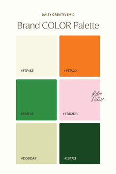 the brand color palette for daily creative