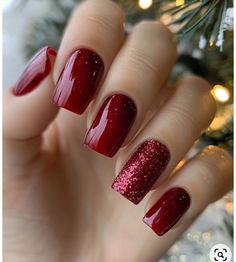 Red Nail Manicure Ideas, December Christmas Nails, One Color Christmas Nails, Christmas Festive Nails, Christmas Nails Dip Powder Red, Christmas Classic Nails, Elegant Red Christmas Nails, December Red Nails, Christmas Nails Gel Short Simple Red