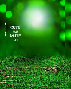 an image of green grass with the words cutehunt mute in white on it