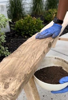 a person in blue gloves is holding a bowl with dirt on the side of a wooden bench