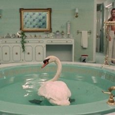 a large white swan floating in a bath tub