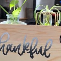 a wooden sign that says thank with some air plants in the vases behind it