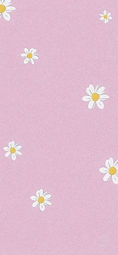 a pink background with white daisies on it