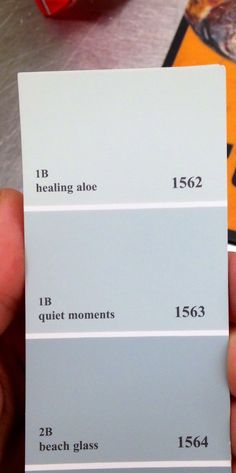 a person holding up a gray and white color swatch with the words b, h, healing aloe, is quiet moments